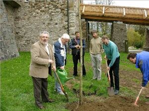 Bürgermeister, Stadtrat und Bauhof legten Hand an