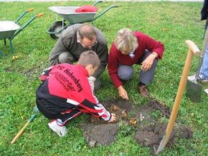 Tüchig bücken musste sich Jung und Alt beim Pflanzen der Blumenzwiebeln
